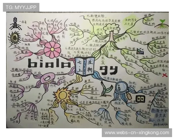 取分压力与客队应对策略——打造高效比赛心态的秘密武器 取分压力与客队应对策略——打造高效比赛心态的秘密武器