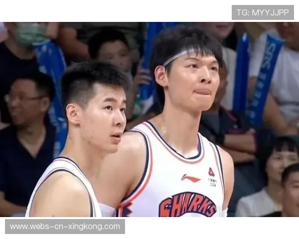 上海连续提速,王哲林低位发力稳住阵脚