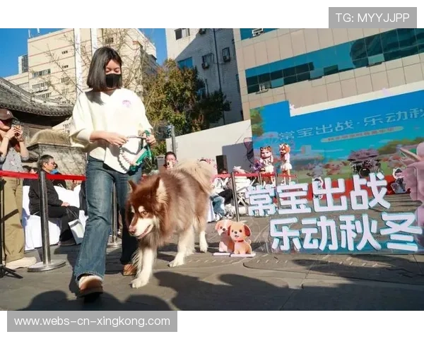 冲浪狗狗与主人同浪，比赛瞬间变萌宠秀